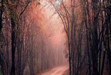 冰岛艰难取胜，成功进军下一轮