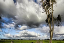 多特蒙德主教练发布技战术视频，助球员备战密集赛程