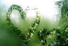 法罗群岛队遭遇困境，球迷心疼