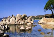 塞尔塔客场逼平强敌，战绩稳定值得期待