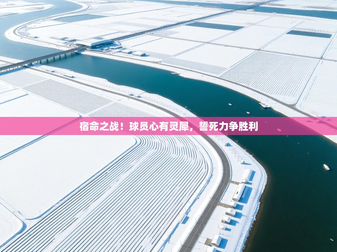 宿命之战！球员心有灵犀，誓死力争胜利