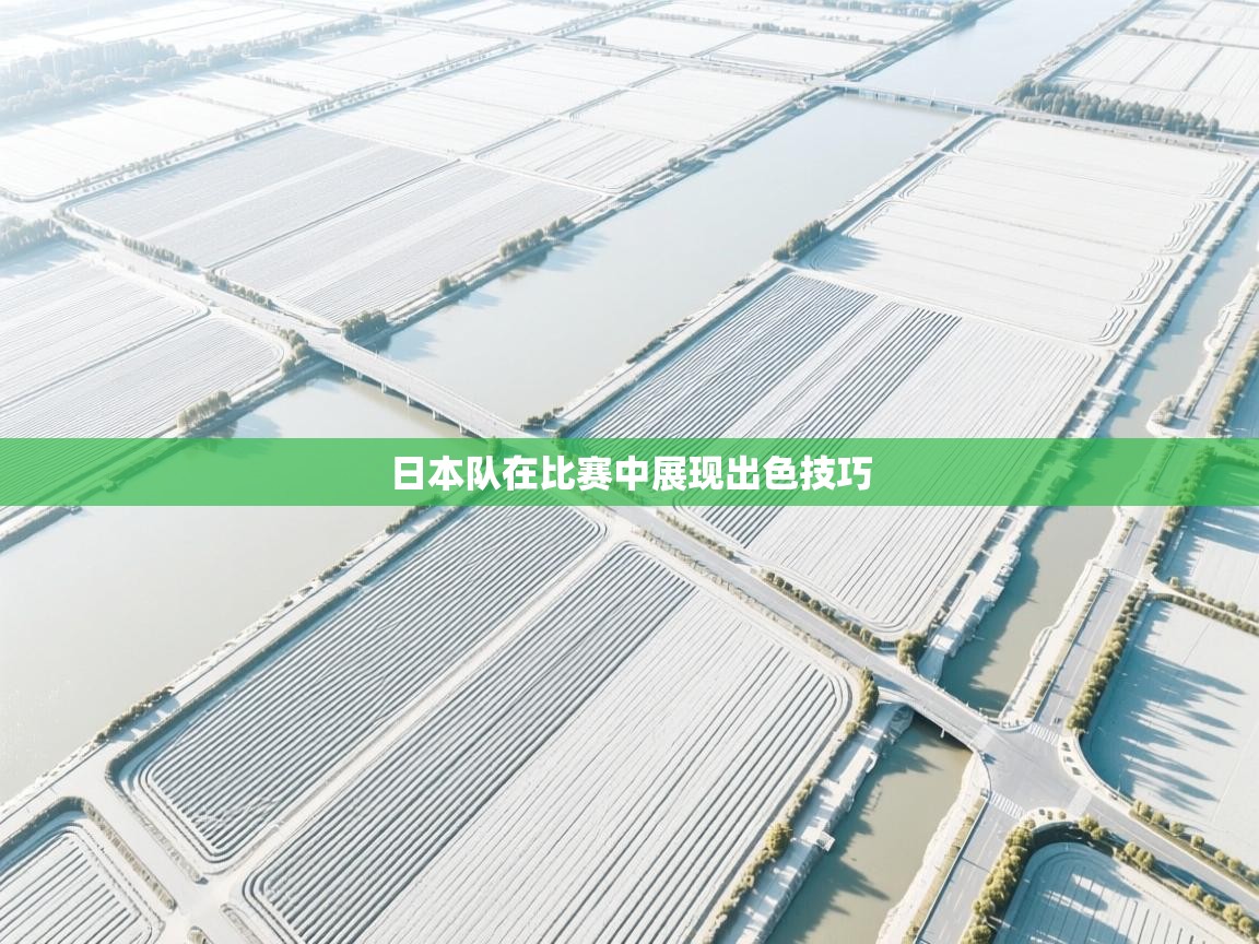 日本队在比赛中展现出色技巧  第1张
